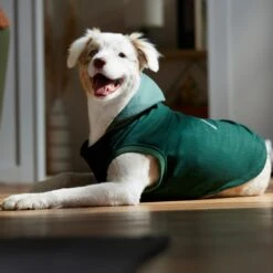 Frisco Lightweight Classic Dog & Cat Coat 14 Frisco Lightweight Classic Dog & Cat Coat -Chewy 353901 PT7. AC SS1800 V1660749440