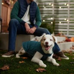 Frisco Mediumweight Reversible Dog & Cat Coat 16 Frisco Mediumweight Reversible Dog & Cat Coat -Chewy 353932 PT7. AC SS1800 V1660749442