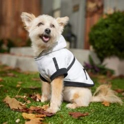 Frisco Mid-Heavyweight White Camouflage Dog & Cat Parka 16 Frisco Mid-Heavyweight White Camouflage Dog & Cat Parka -Chewy 353949 PT7. AC SS1800 V1660750112