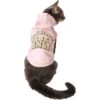 Frisco Pawsitive Vibes Only Dog & Cat Hoodie 2 Frisco Pawsitive Vibes Only Dog & Cat Hoodie -Chewy 353957 MAIN. AC SS1800 V1659012620