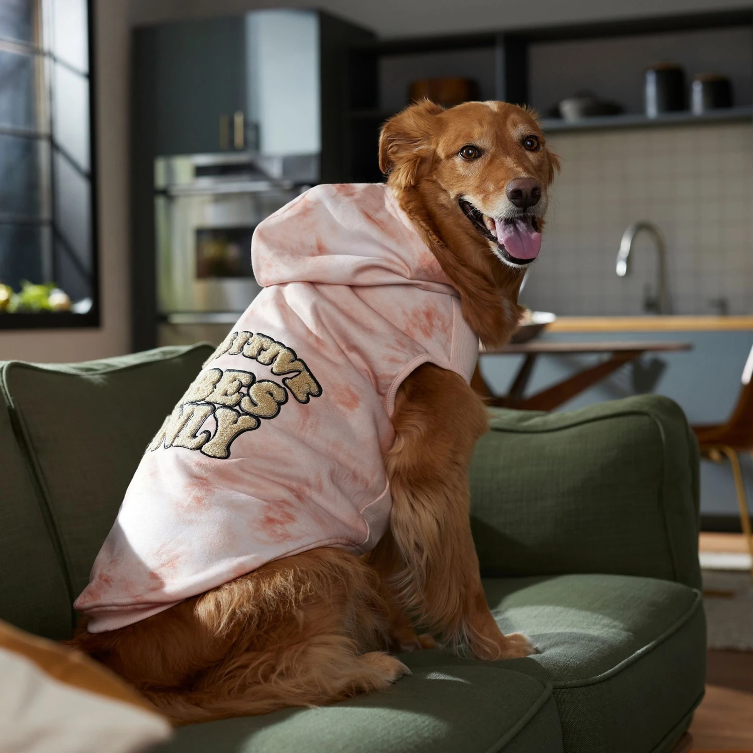 Frisco Pawsitive Vibes Only Dog & Cat Hoodie 9 Frisco Pawsitive Vibes Only Dog & Cat Hoodie - Image 7