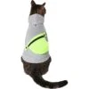 Frisco Dog & Cat Hoodie With Removable Fanny Pack 1 Frisco Dog & Cat Hoodie With Removable Fanny Pack -Chewy 353965 MAIN. AC SS1800 V1659010615