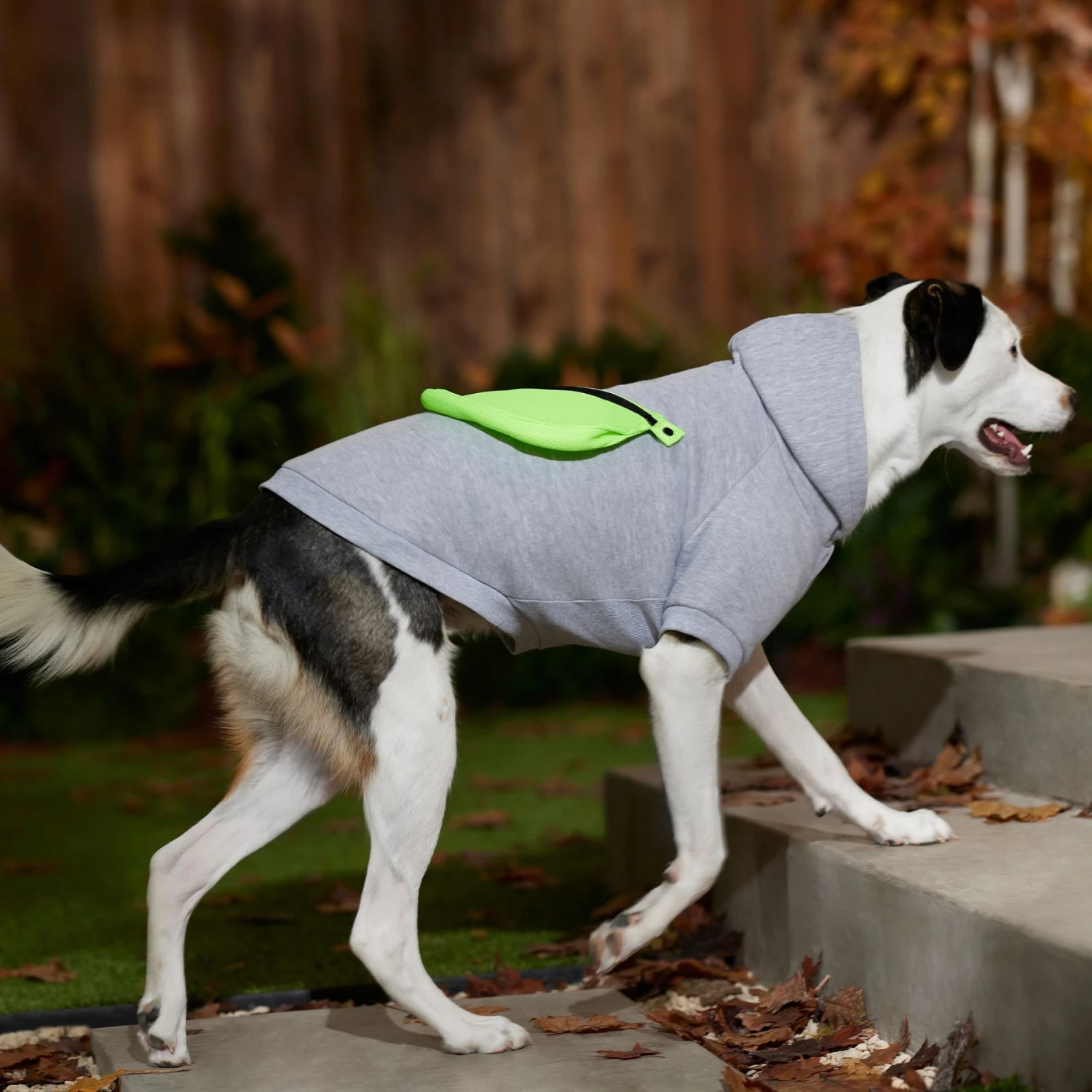 Frisco Dog & Cat Hoodie With Removable Fanny Pack 10 Frisco Dog & Cat Hoodie With Removable Fanny Pack - Image 8