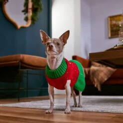 Frisco Penguin Dog & Cat Sweater Dress 16 Frisco Penguin Dog & Cat Sweater Dress -Chewy 358207 PT7. AC SS1800 V1661889744