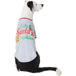 Frisco I Ate Santa's Cookies Dog & Cat T-Shirt 11 Frisco I Ate Santa's Cookies Dog & Cat T-Shirt -Chewy 358293 PT2. AC SS1800 V1660758713