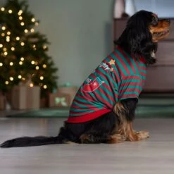 Frisco Naughty, Nice, I Tried Dog & Cat T-Shirt 14 Frisco Naughty, Nice, I Tried Dog & Cat T-Shirt -Chewy 358301 PT7. AC SS1800 V1661797473