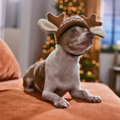 Frisco Antler Fair Isle Dog & Cat Hat 12 Frisco Antler Fair Isle Dog & Cat Hat -Chewy 358313 PT4. AC SS1800 V1661798696