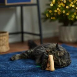 Frisco Holiday Santa's List Plush & Feather Cat Toy With Catnip 8 Frisco Holiday Santa's List Plush & Feather Cat Toy With Catnip -Chewy 360895 PT3. AC SS1800 V1661874361