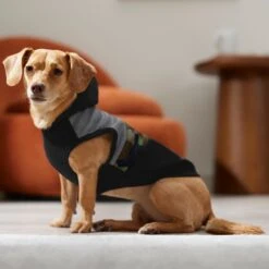 Frisco Army Camo Dog & Cat Hoodie 16 Frisco Army Camo Dog & Cat Hoodie -Chewy 368774 PT7. AC SS1800 V1664994217