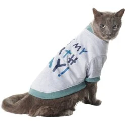 Frisco It's My Birth Day Dog & Cat T-Shirt 11 Frisco It's My Birth Day Dog & Cat T-Shirt -Chewy 368808 PT2. AC SS1800 V1669100848