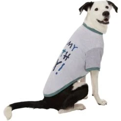 Frisco It's My Birth Day Dog & Cat T-Shirt 12 Frisco It's My Birth Day Dog & Cat T-Shirt -Chewy 368808 PT4. AC SS1800 V1669101517