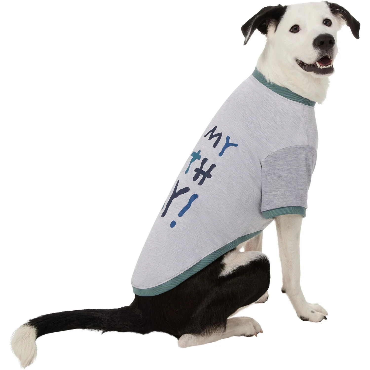 Frisco It's My Birth Day Dog & Cat T-Shirt 6 Frisco It's My Birth Day Dog & Cat T-Shirt - Image 4