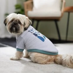 Frisco It's My Birth Day Dog & Cat T-Shirt 14 Frisco It's My Birth Day Dog & Cat T-Shirt -Chewy 368808 PT7. AC SS1800 V1664992107