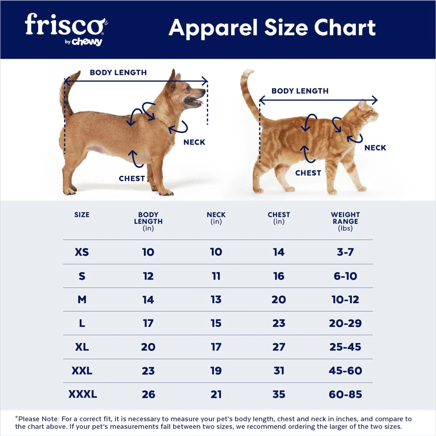 Frisco Tie-Dye Dog & Cat T-Shirt 4 Frisco Tie-Dye Dog & Cat T-Shirt - Image 2