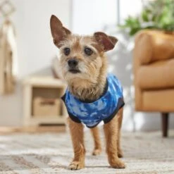 Frisco Tie-Dye Dog & Cat T-Shirt 14 Frisco Tie-Dye Dog & Cat T-Shirt -Chewy 368816 PT7. AC SS1800 V1664994331