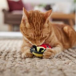 Frisco Valentine Jammin' Ladybug Plush Cat Toy With Catnip 10 Frisco Valentine Jammin' Ladybug Plush Cat Toy With Catnip -Chewy 371081 PT3. AC SS1800 V1668736252