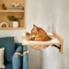Frisco Acrylic Bowl Wall Mounted Cat Wall Shelf 2 Frisco Acrylic Bowl Wall Mounted Cat Wall Shelf -Chewy 373439 MAIN. AC SS1800 V1673014135