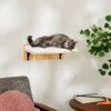 Frisco Cushioned Wall Mounted Cat Wall Shelf 1 Frisco Cushioned Wall Mounted Cat Wall Shelf -Chewy 373443 MAIN. AC SS1800 V1673025637