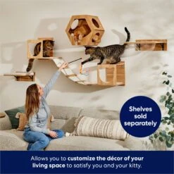 Frisco Cushioned Wall Mounted Cat Wall Shelf 10 Frisco Cushioned Wall Mounted Cat Wall Shelf -Chewy 373443 PT3. AC SS1800 V1675692706