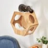 Frisco Hexagon Wall Mounted Cat Wall Shelf 1 Frisco Hexagon Wall Mounted Cat Wall Shelf -Chewy 373445 MAIN. AC SS1800 V1673014106