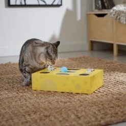 Frisco Cheese Interactive Maze Cardboard Cat Toy Box With Catnip 12 Frisco Cheese Interactive Maze Cardboard Cat Toy Box With Catnip -Chewy 506106 PT4. AC SS1800 V1669148185