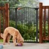 Frisco Outdoor Steel Arch Extra Tall Auto-Close Dog Gate 2 Frisco Outdoor Steel Arch Extra Tall Auto-Close Dog Gate -Chewy 507102 MAIN. AC SS1800 V1668736255