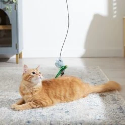 Frisco Leaf & Dragonfly Interchangeable Teaser Wand Cat Toy With Catnip 8 Frisco Leaf & Dragonfly Interchangeable Teaser Wand Cat Toy With Catnip -Chewy 525982 PT3. AC SS1800 V1669148131