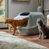 Frisco Mega Deluxe Litter Box -Chewy 526526 MAIN. AC SS1800 V1659623787