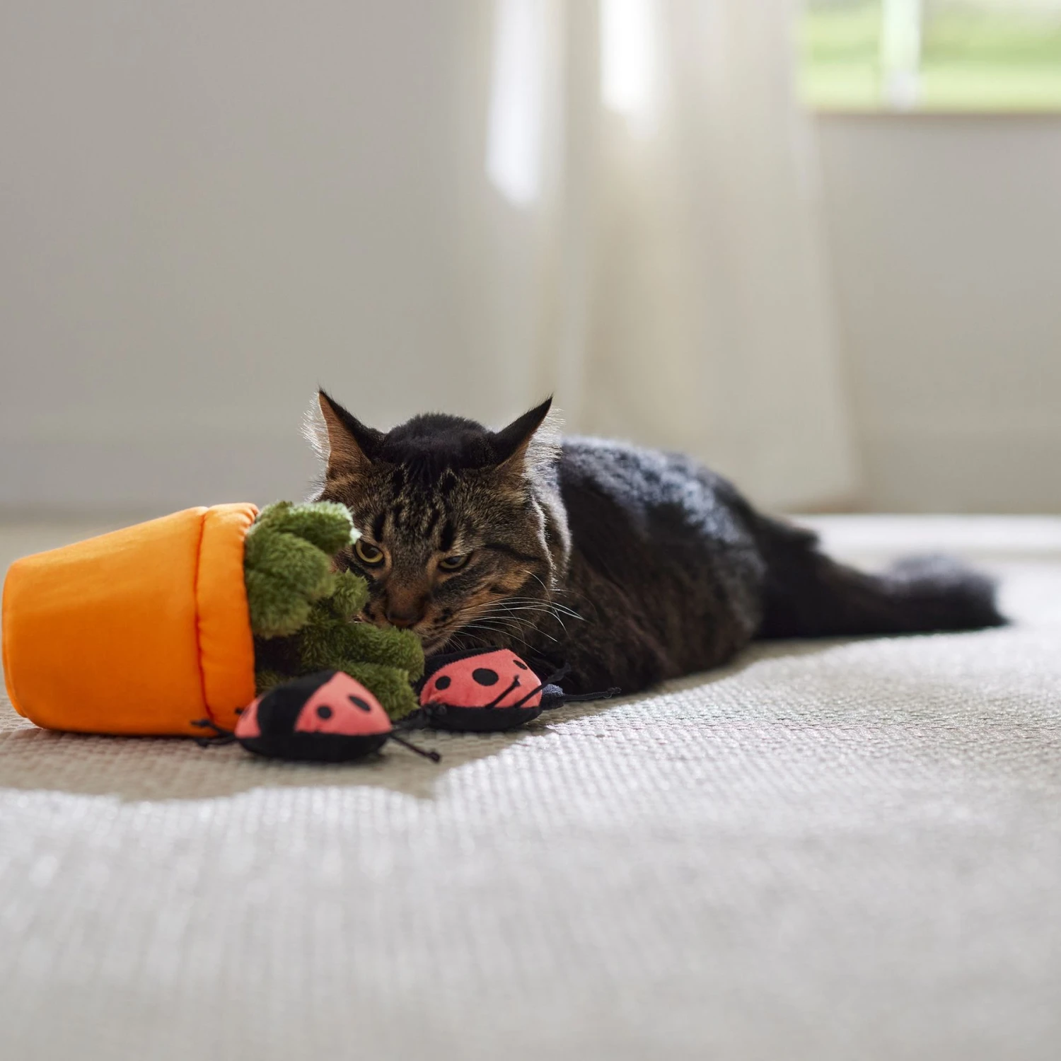 Frisco Spring Potted Plant And Ladybugs Interactive Plush Cat Toy With Catnip 6 Frisco Spring Potted Plant And Ladybugs Interactive Plush Cat Toy With Catnip - Image 4