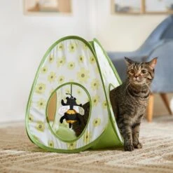 Featured Products 17 Frisco Spring Daisy Pop-Up Tent Cat Toy With Catnip