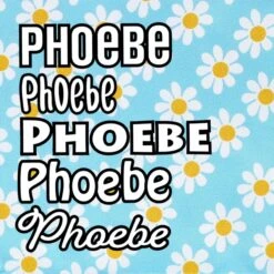 Frisco Personalized Blue Daisy Bandana 15 Frisco Personalized Blue Daisy Bandana -Chewy 555206 PT4. AC SS1800 V1669839927