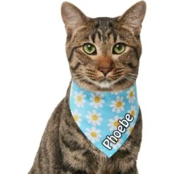 Frisco Personalized Blue Daisy Bandana 17 Frisco Personalized Blue Daisy Bandana -Chewy 555206 PT6. AC SS1800 V1669839922