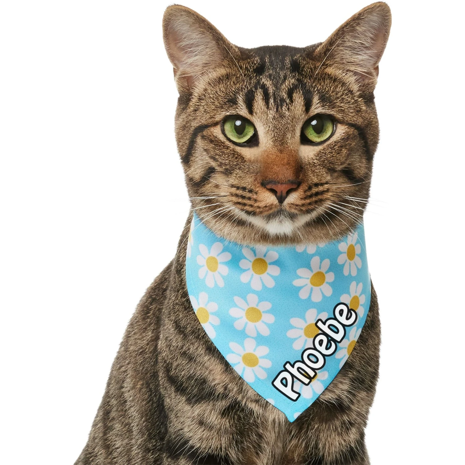 Frisco Personalized Blue Daisy Bandana 9 Frisco Personalized Blue Daisy Bandana - Image 7
