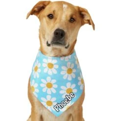 Frisco Personalized Blue Daisy Bandana 18 Frisco Personalized Blue Daisy Bandana -Chewy 555206 PT7. AC SS1800 V1669839925