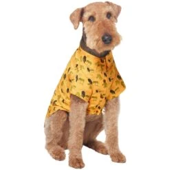 Frisco Safari Zebra Dog & Cat Shirt 14 Frisco Safari Zebra Dog & Cat Shirt -Chewy 555566 PT3. AC SS1800 V1675103172