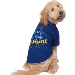Frisco I Live In The Sunshine Dog & Cat T-Shirt 12 Frisco I Live In The Sunshine Dog & Cat T-Shirt -Chewy 556222 PT3. AC SS1800 V1674829145
