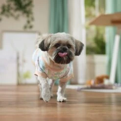 Frisco Vintage Tropical Dog & Cat Pocket T-Shirt 14 Frisco Vintage Tropical Dog & Cat Pocket T-Shirt -Chewy 556598 PT5. AC SS1800 V1675101997