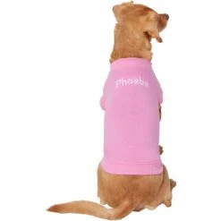 Frisco Personalized Basic Dog & Cat T-Shirt -Chewy 557438 PT2. AC SS1800 V1662738086