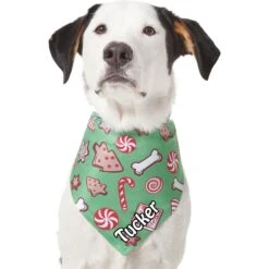Frisco Gingerbread Treats Personalized Dog & Cat Bandana 17 Frisco Gingerbread Treats Personalized Dog & Cat Bandana -Chewy 564502 PT6. AC SS1800 V1660405305