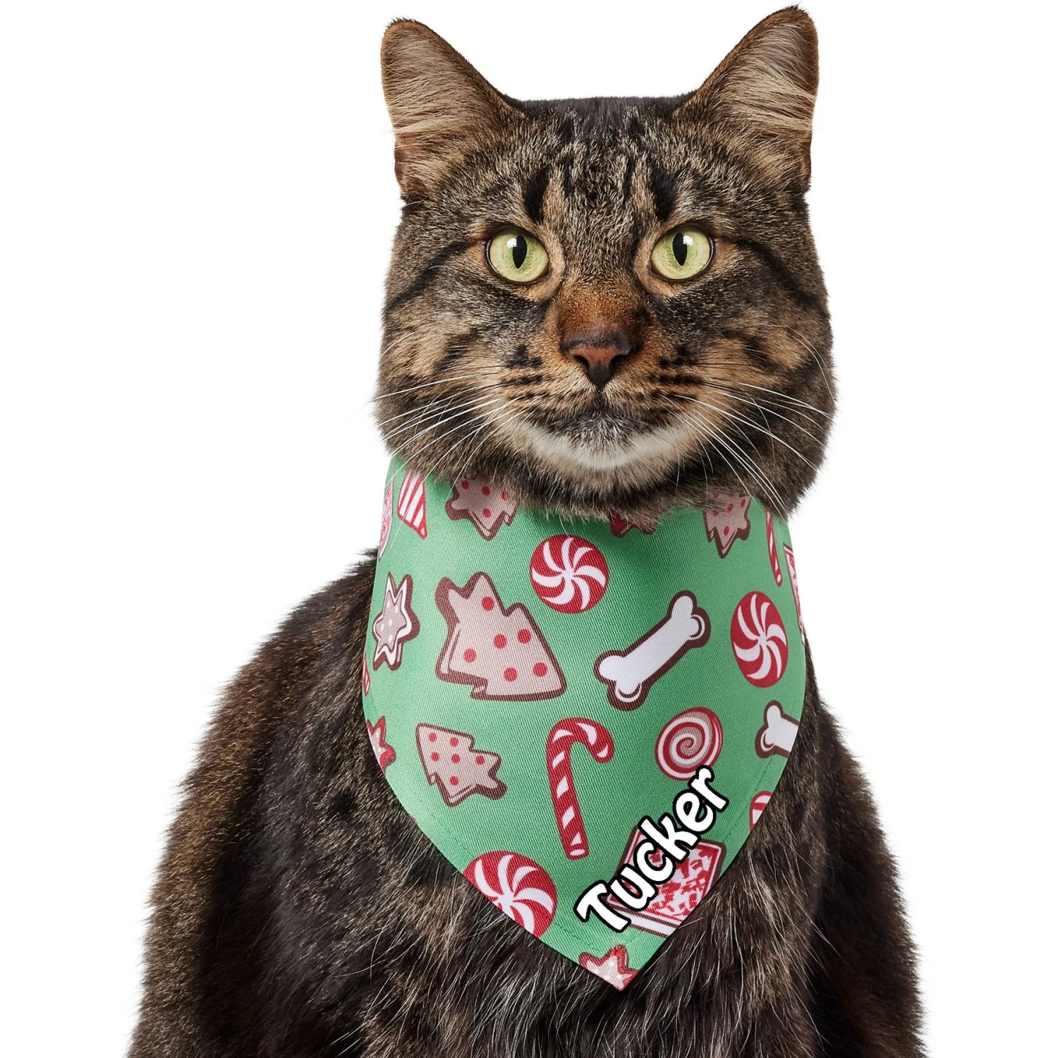 Frisco Gingerbread Treats Personalized Dog & Cat Bandana 10 Frisco Gingerbread Treats Personalized Dog & Cat Bandana - Image 8