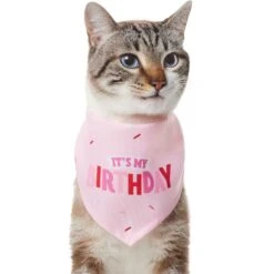 Frisco Dog & Cat Birthday Bandana 12 Frisco Dog & Cat Birthday Bandana -Chewy 608206 PT2. AC SS1800 V1676644511