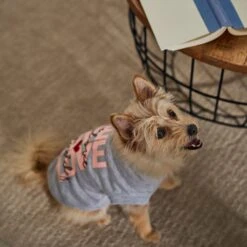 Frisco I Love Daddy Heart Dog & Cat T-Shirt 14 Frisco I Love Daddy Heart Dog & Cat T-Shirt -Chewy 608262 PT7. AC SS1800 V1676585954