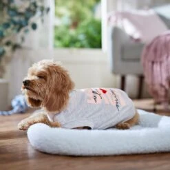 Frisco I Love Mommy Heart Dog & Cat T-Shirt 14 Frisco I Love Mommy Heart Dog & Cat T-Shirt -Chewy 608382 PT7. AC SS1800 V1676643805