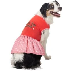 Frisco Time To Shine Dog & Cat Dress -Chewy 608638 PT3. AC SS1800 V1676644904