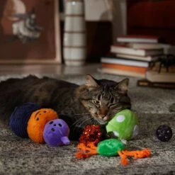 Frisco Halloween Mystical Variety Pack Plush & Balls Cat Toy With Catnip 8 Frisco Halloween Mystical Variety Pack Plush & Balls Cat Toy With Catnip -Chewy 668374 PT3. AC SS1800 V1689282492