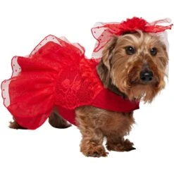 Frisco Red Ruffle Dog & Cat Dress + Headpiece 12 Frisco Red Ruffle Dog & Cat Dress + Headpiece -Chewy 707286 PT2. AC SS1800 V1689355022