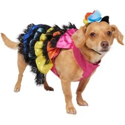 Frisco Ruffle Party Dog & Cat Dress + Headpiece -Chewy 707350 PT2. AC SS1800 V1689278779