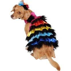 Frisco Ruffle Party Dog & Cat Dress + Headpiece -Chewy 707350 PT3. AC SS1800 V1689278371
