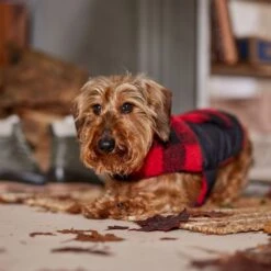 Frisco Reversible Medium Weight Boulder Plaid Dog & Cat Coat -Chewy 717846 PT7. AC SS1800 V1692375977