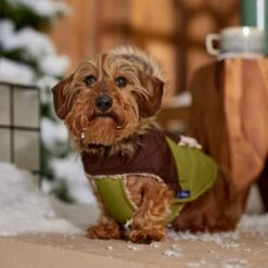 Frisco Heavy Weight 2-Tone Sherpa Lined Hybrid Quilted Dog & Cat Parka 18 Frisco Heavy Weight 2-Tone Sherpa Lined Hybrid Quilted Dog & Cat Parka -Chewy 718038 PT7. AC SS1800 V1692378337